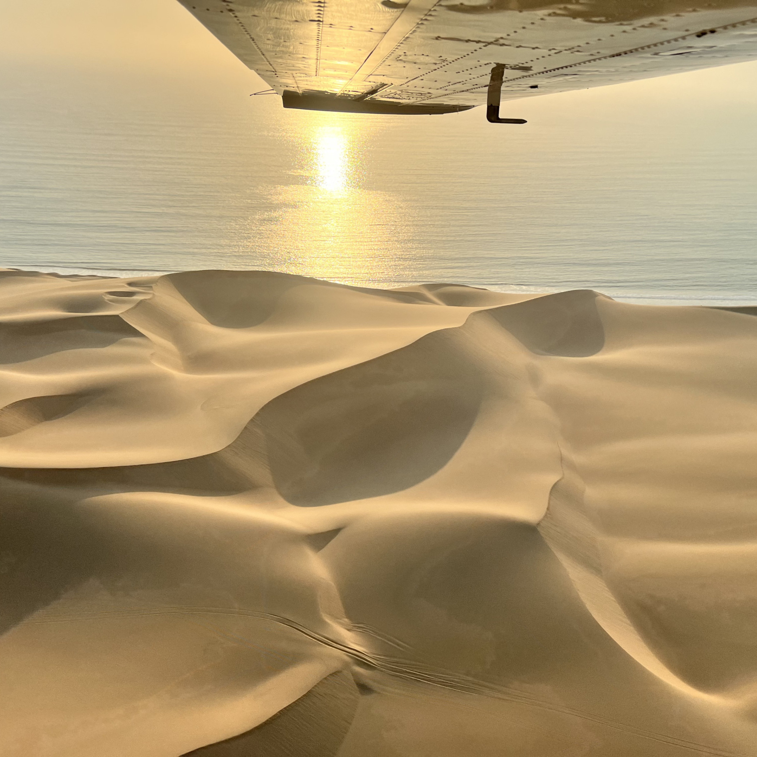 neueweltnamibia.jpeg