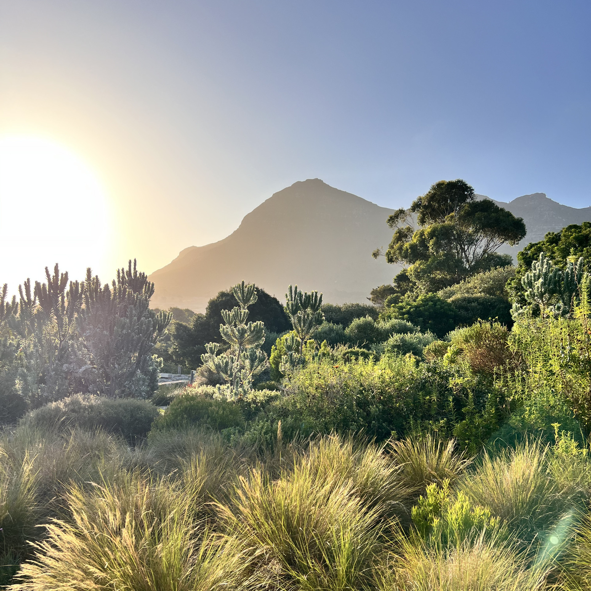 noordhoek.jpeg