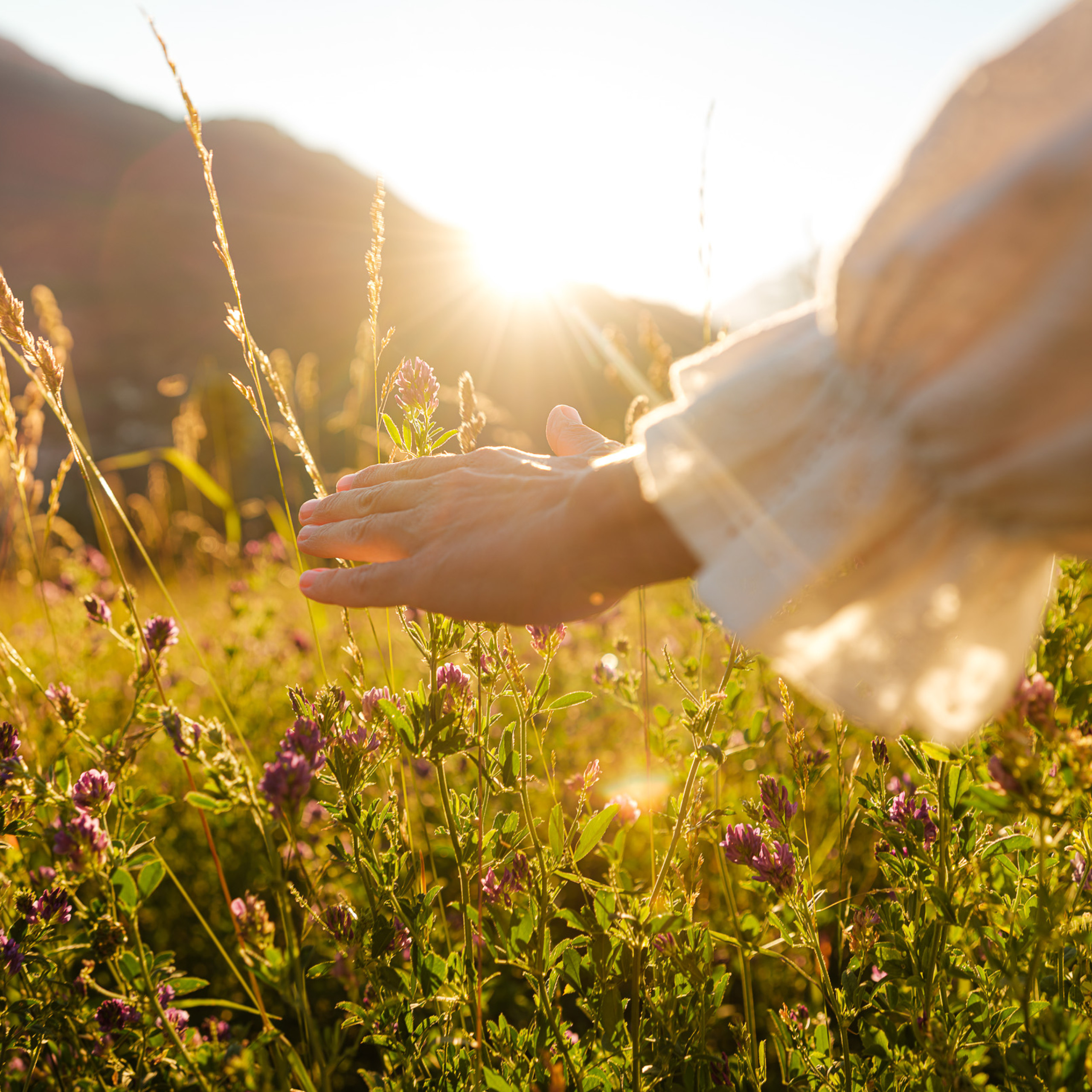 Hand in der Sonne